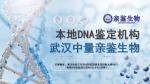 武漢市10家親子鑒定辦理正規(guī)機構(gòu)合集（附2025年匯總）