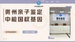 深度梳理!貴陽(yáng)親子鑒定中心價(jià)格大全(附2025年10月更新)