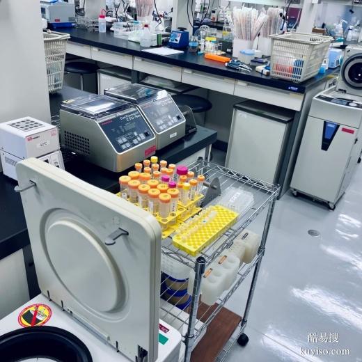 泉州親子鑒定模板電子版，紙質(zhì)報(bào)告（正規(guī)鑒定）