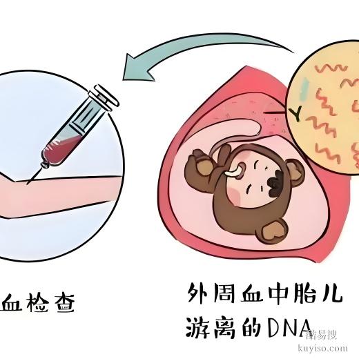 丹東懷孕期間能做親子鑒定大概多少錢-2025費用一覽
