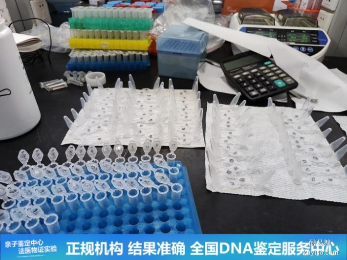 深圳懷孕期親子鑒定中心地址庫(2026認(rèn)證版)（加急可3小時(shí)結(jié)果）