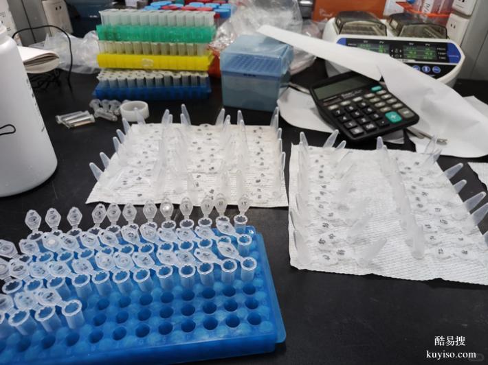 廣州孕中期親子鑒定查看2025Q4價格表（2026年DNA報告解讀）