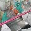臺(tái)州孕期親子鑒定準(zhǔn)確率高嗎-2025更新鑒定指南