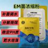 水產(chǎn)除藻劑安全除藻久久氧水產(chǎn)養(yǎng)殖促生長(zhǎng)漁航生物EM菌種