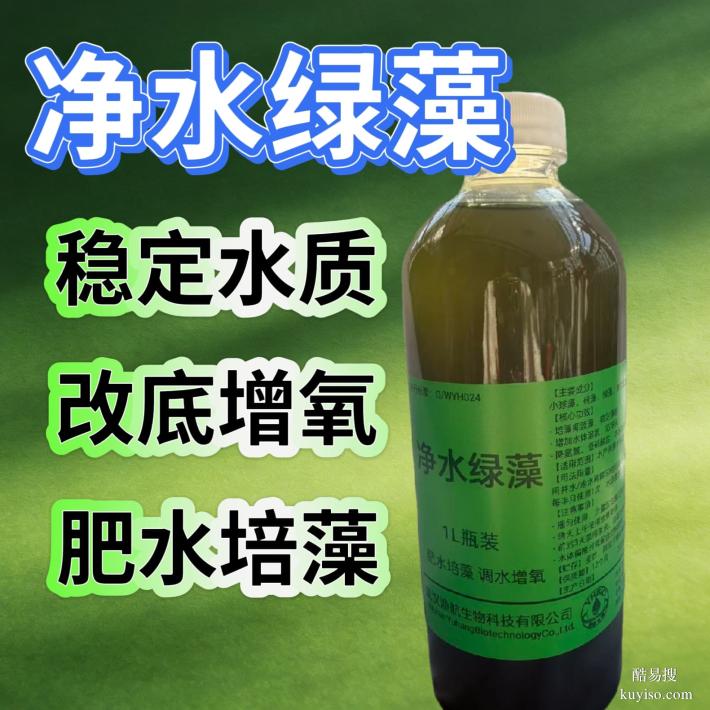 酵母蛋白肥壯苗肥水小球藻提高成活率水產(chǎn)養(yǎng)殖漁航生物