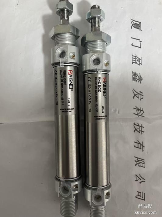 意大利AIGNEP安耐 氣缸MH0250080