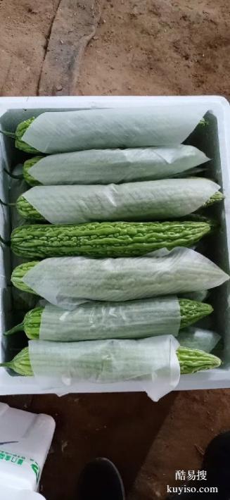 廈門蔬菜生鮮配送公司