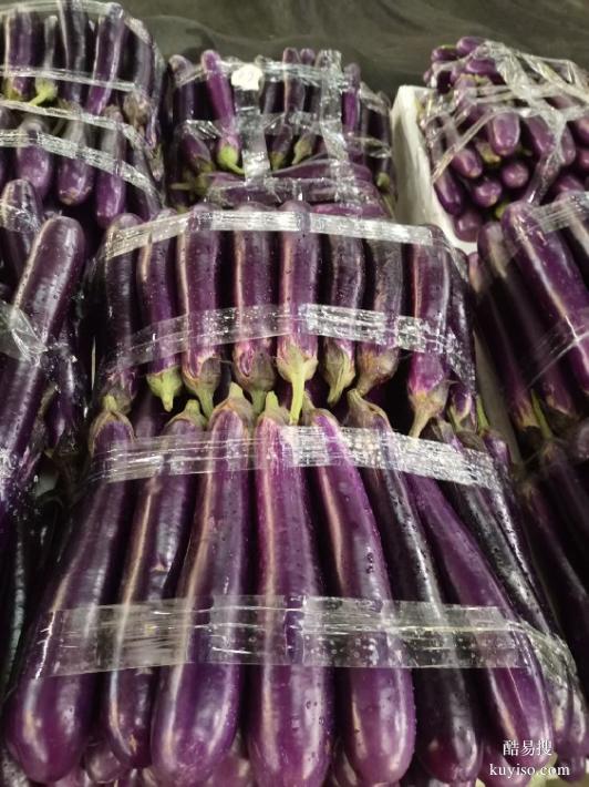 廈門蔬菜批發(fā)網(wǎng)