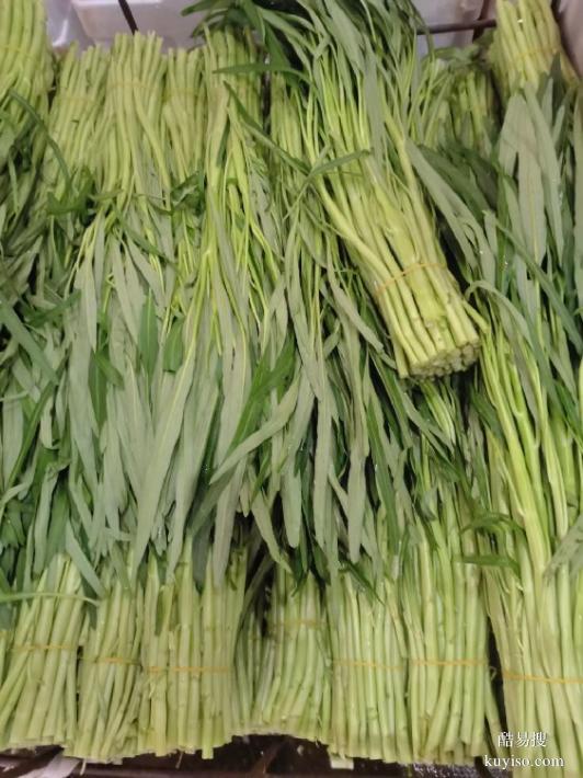 廈門食堂承包公司