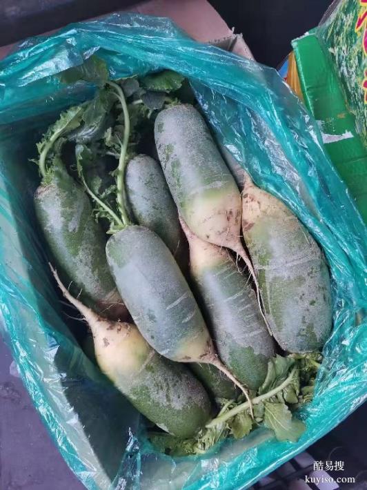 廈門蔬菜配送公司電話