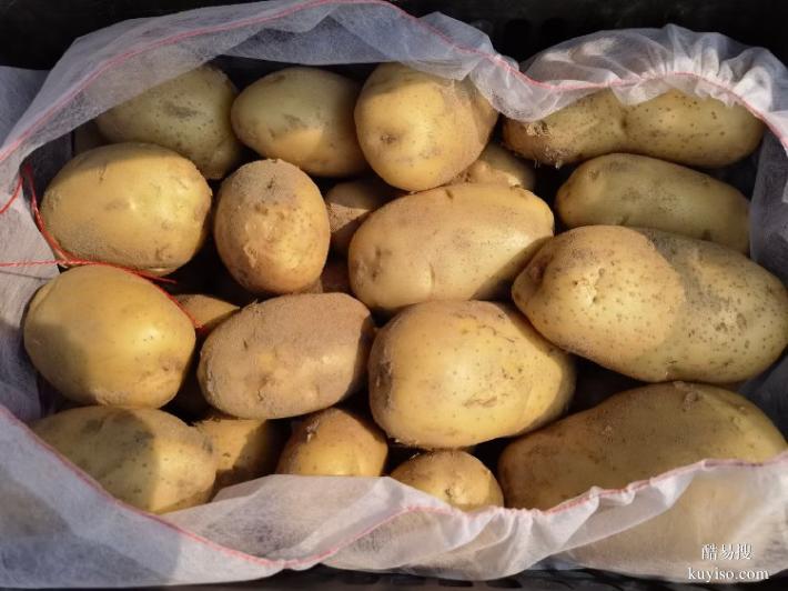 廈門蔬菜配送公司電話