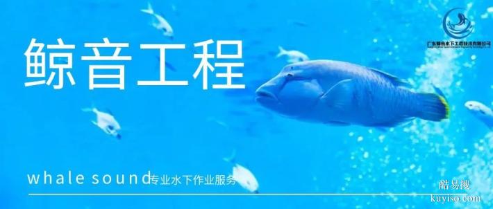 赤坎區(qū)正規(guī)水下貴重物品打撈中心大全推薦（2026年最新費(fèi)用總覽）