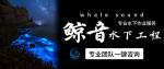 南海區(qū)本地專業(yè)水下貴重物品打撈機(jī)構(gòu)合集（2026年最新價格一覽）