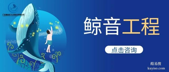 番禺區(qū)本地水下貴重物品打撈中心查詢(xún)推薦（2026年查詢(xún)收費(fèi)標(biāo)準(zhǔn)）