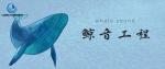 惠城區(qū)水下貴重物品打撈中心機(jī)構(gòu)地址（2026年最新費(fèi)用明細(xì)）