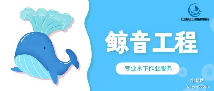 橋頭鎮(zhèn)當(dāng)?shù)貙I(yè)水下貴重物品打撈機構(gòu)大全（2026價格大全總覽）