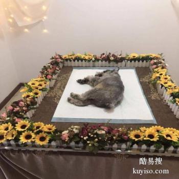 枣庄宠物殡仪馆正式开业,枣庄宠物殡葬服务