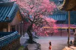 加拿大新西兰澳洲 美国英国移民留学和签证核心关键问题咨询