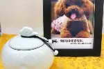 佛山狗狗火葬场地址