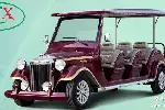 湖南电动看楼车