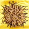 长沙市社区回收冬虫夏草-折断草-黑草-混草-礼品草价格