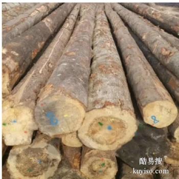 井陉矿区园林绿化支撑杆 杨木杆 竹片 杉木杆批发厂家