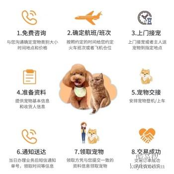 禹州宠物托运公司2023年可发全国各宠物专车直达