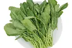 陕西广昇和蔬菜食材配送