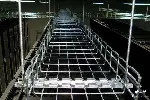 林芝不锈钢网格桥架