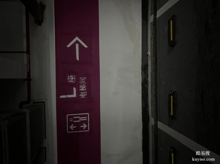 南京道路划线-达尊地下车库停车场防眩色带