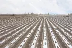 内蒙古乌海防风固沙固沙剂工地公路抑尘除尘