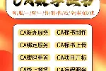 湖南常宁市代办CA投标锁