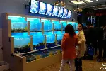 宜兴供应海鲜池鱼缸价格