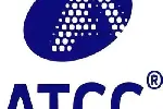 杭州0代标准菌株厂家货源-ATCC27451标准菌株