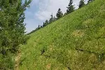 迪庆椰丝毯厂家，公路生态护坡植草毯稻草毯复合椰壳椰丝纤维毯