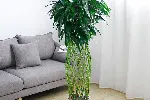北京租赁植物花卉公司