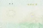 医疗陪诊顾问俗称陪诊师报名中