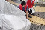深圳大型公司搬迁靠谱公司盘点合规服务商筛选避坑指南