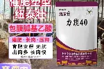 肉牛专用催肥剂纽泰壮-包被胍基乙酸喂羊肉牛增肌长肉