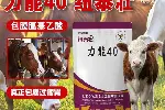 肉牛怎样催肥肉牛增重饲料肉牛增肌长肉