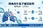 鸡西滴道合法全外显子基因检测!正规机构一览(附26年新地址)